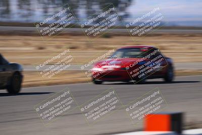 media/Nov-16-2024-CalClub SCCA (Sat) [[641f3b2761]]/Group 4/Grid and Front Straight/